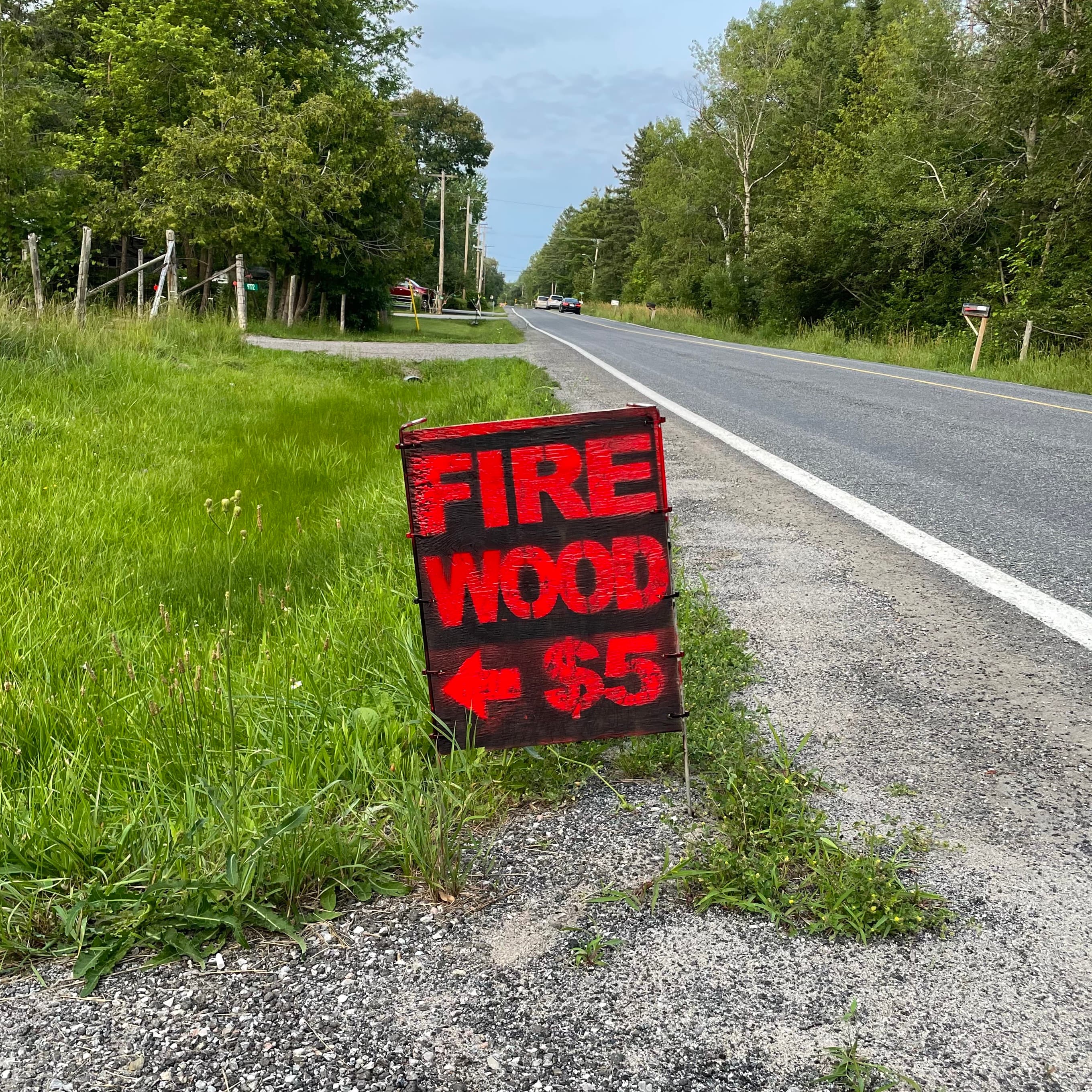 Roadside sign that says 'FIRE WOOD $5'